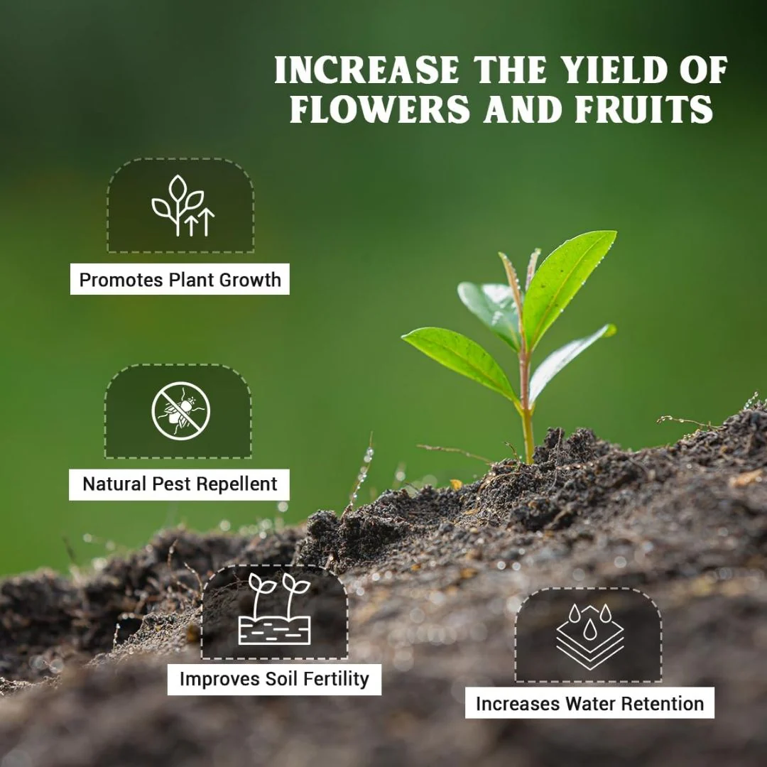 Mustard Cake (Crushed) – Organic Fertilizer - Image 3