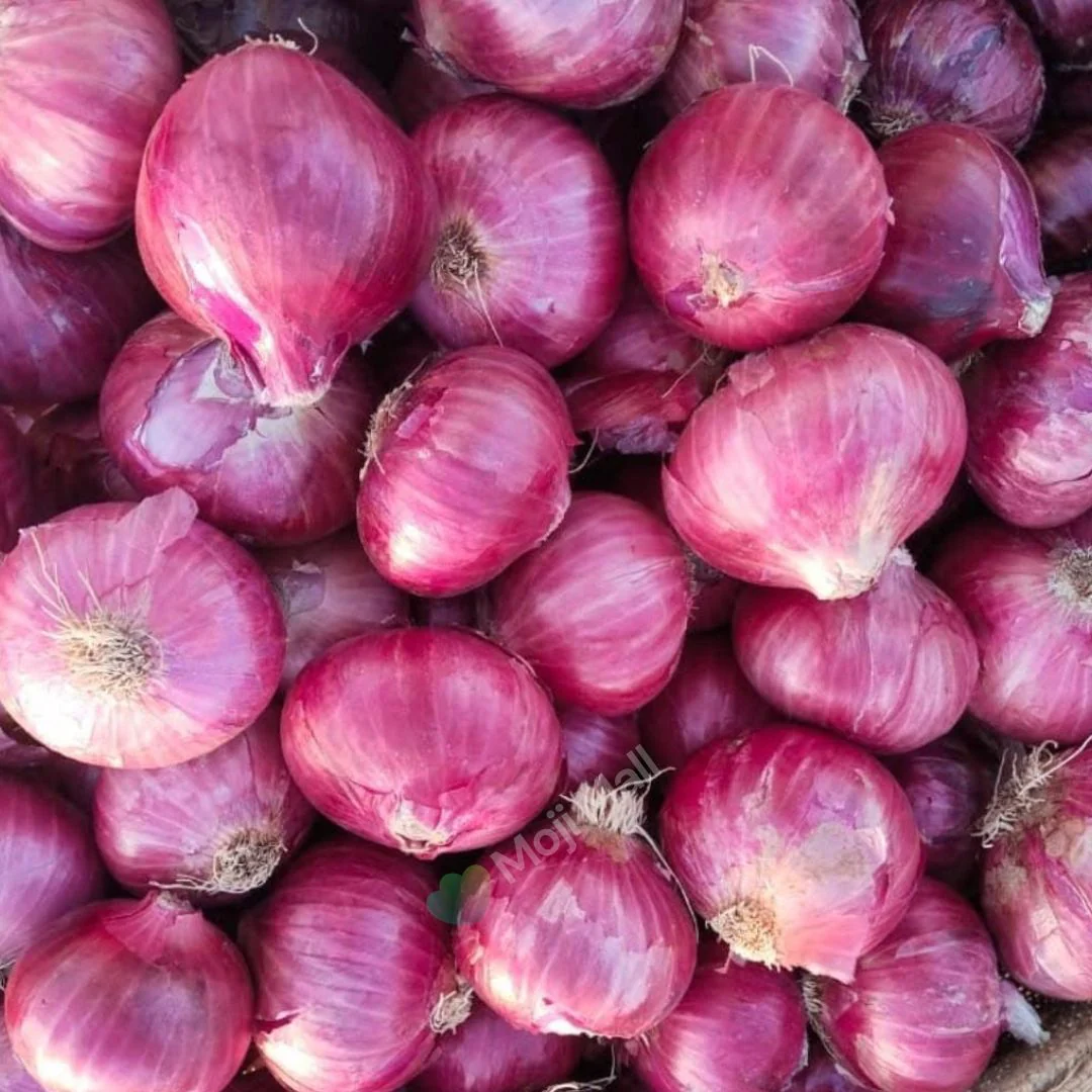 Onion Hazari – 300+ Seeds - Image 3