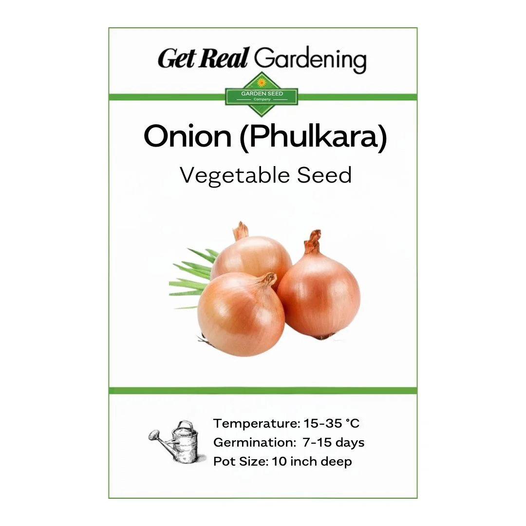 Onion Phulkara – 300+ Seeds - Image 3
