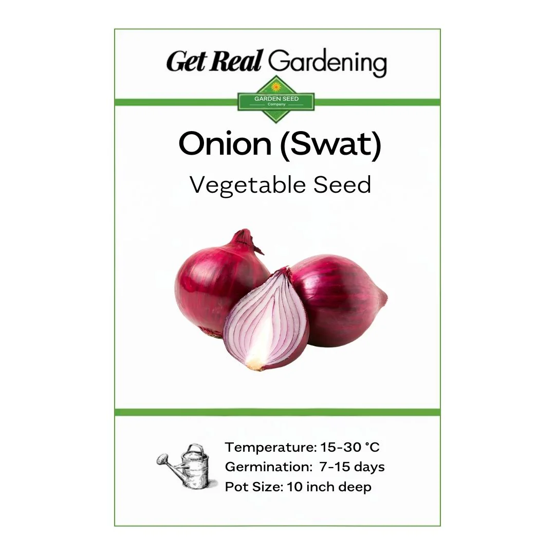 Onion Swat – 300+ Seeds - Image 2