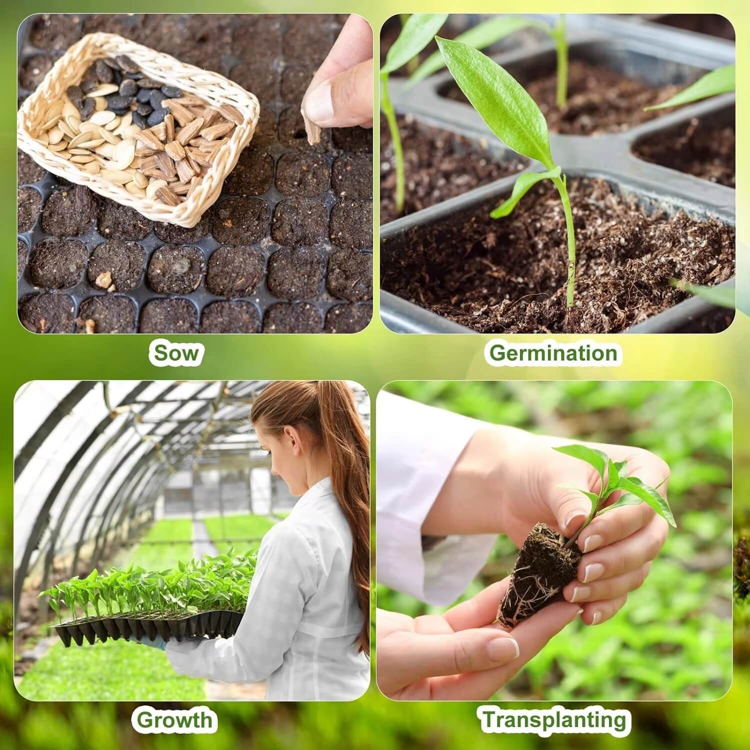 Pack of 10 Seedling Tray – 128 Holes - Image 3