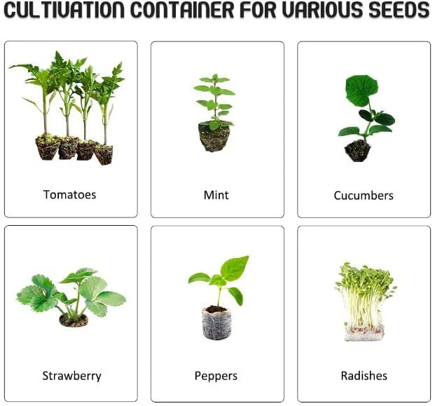 Pack of 10 Seedling Tray – 128 Holes - Image 5