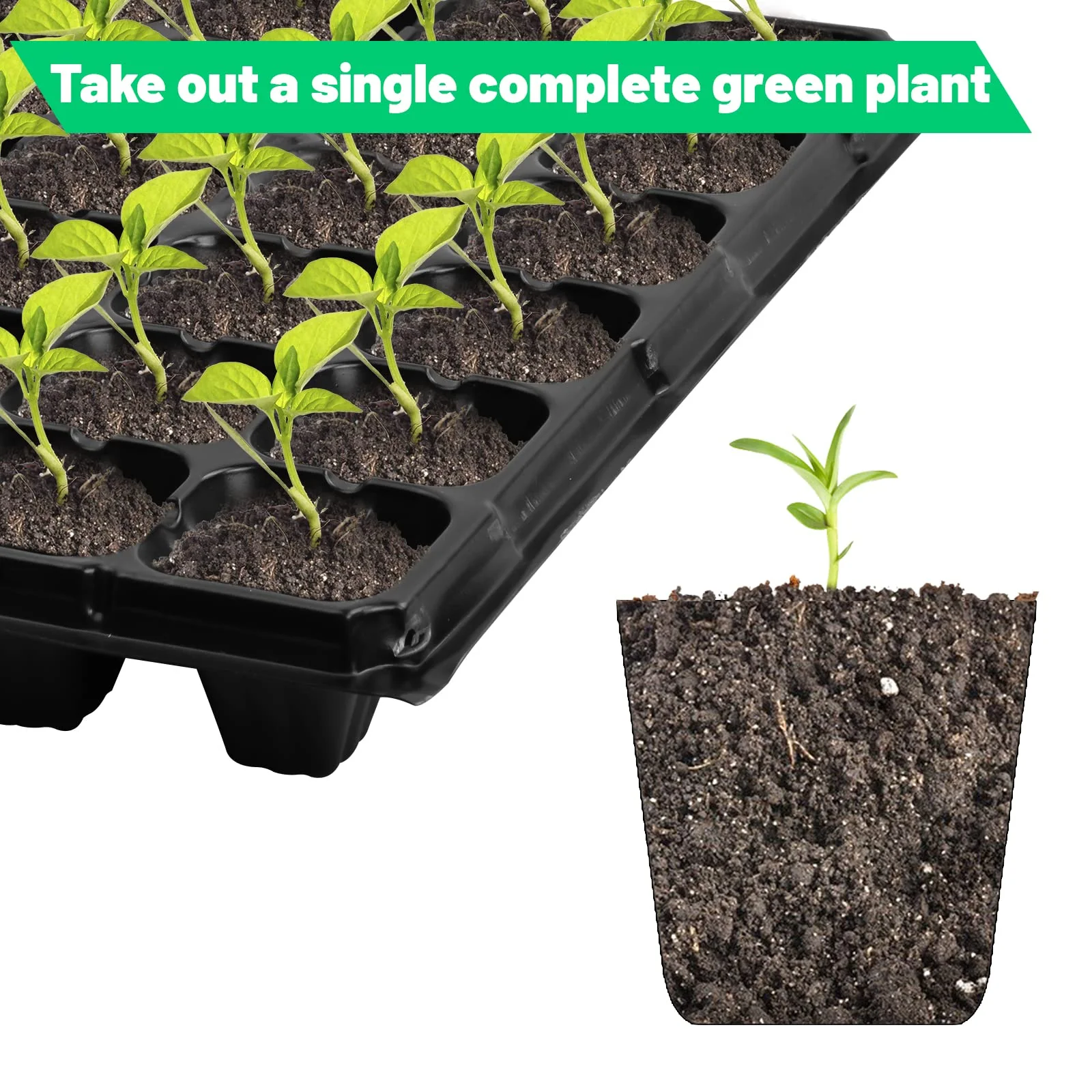 Seedling Tray – 72 Holes - Image 3