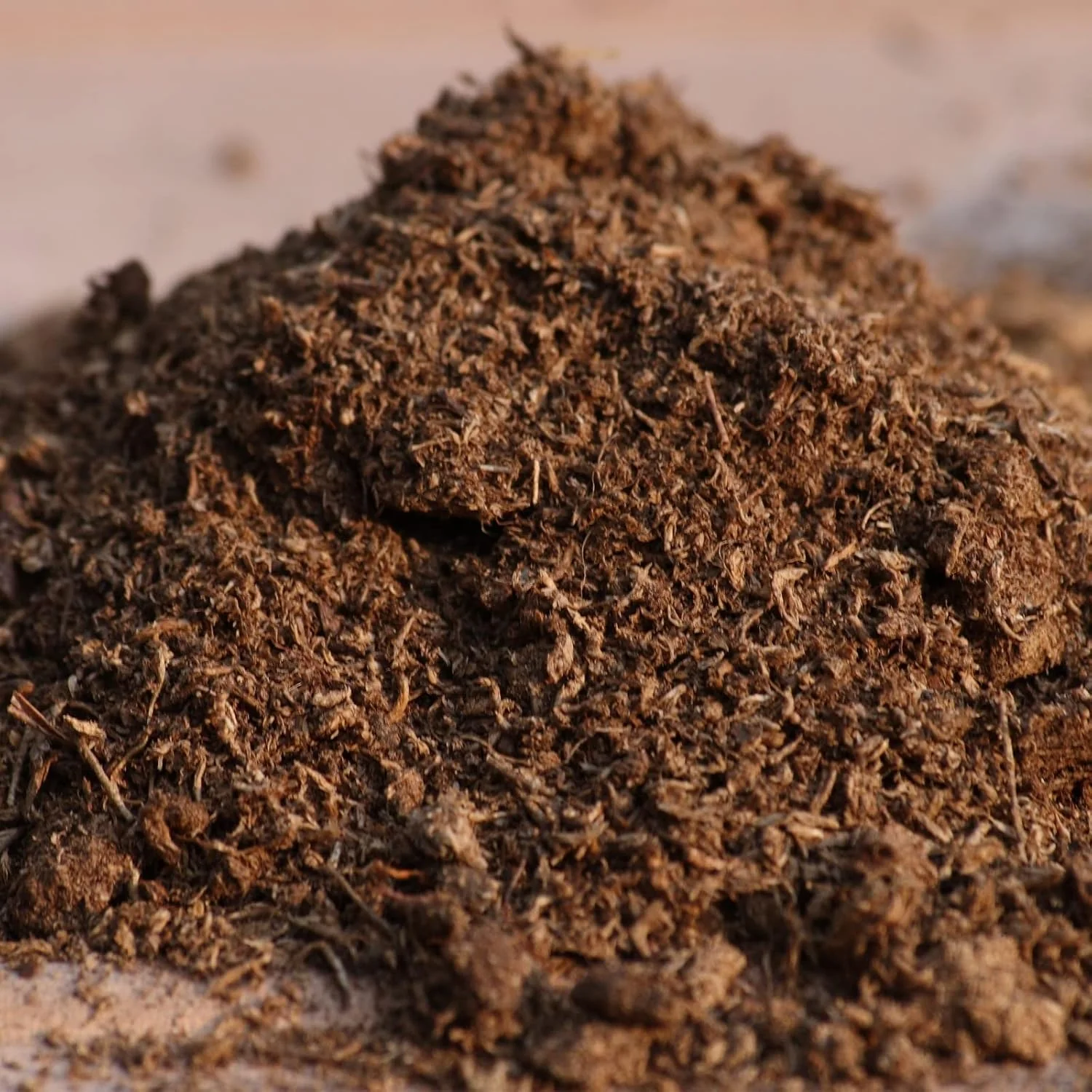 Peat Moss (imported) - Image 2
