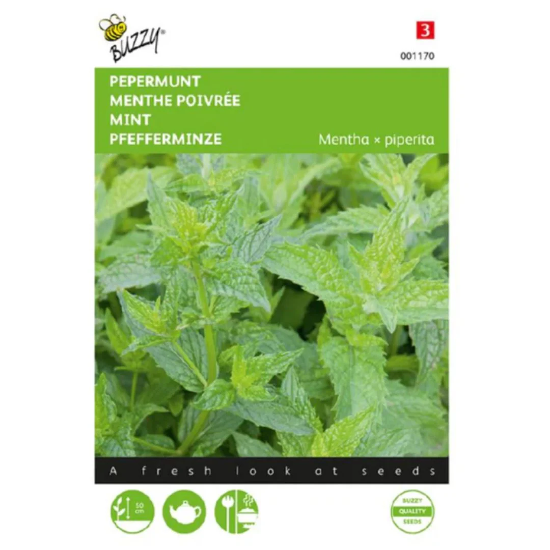 Peppermint Seeds - (Imported - Limited Stock)