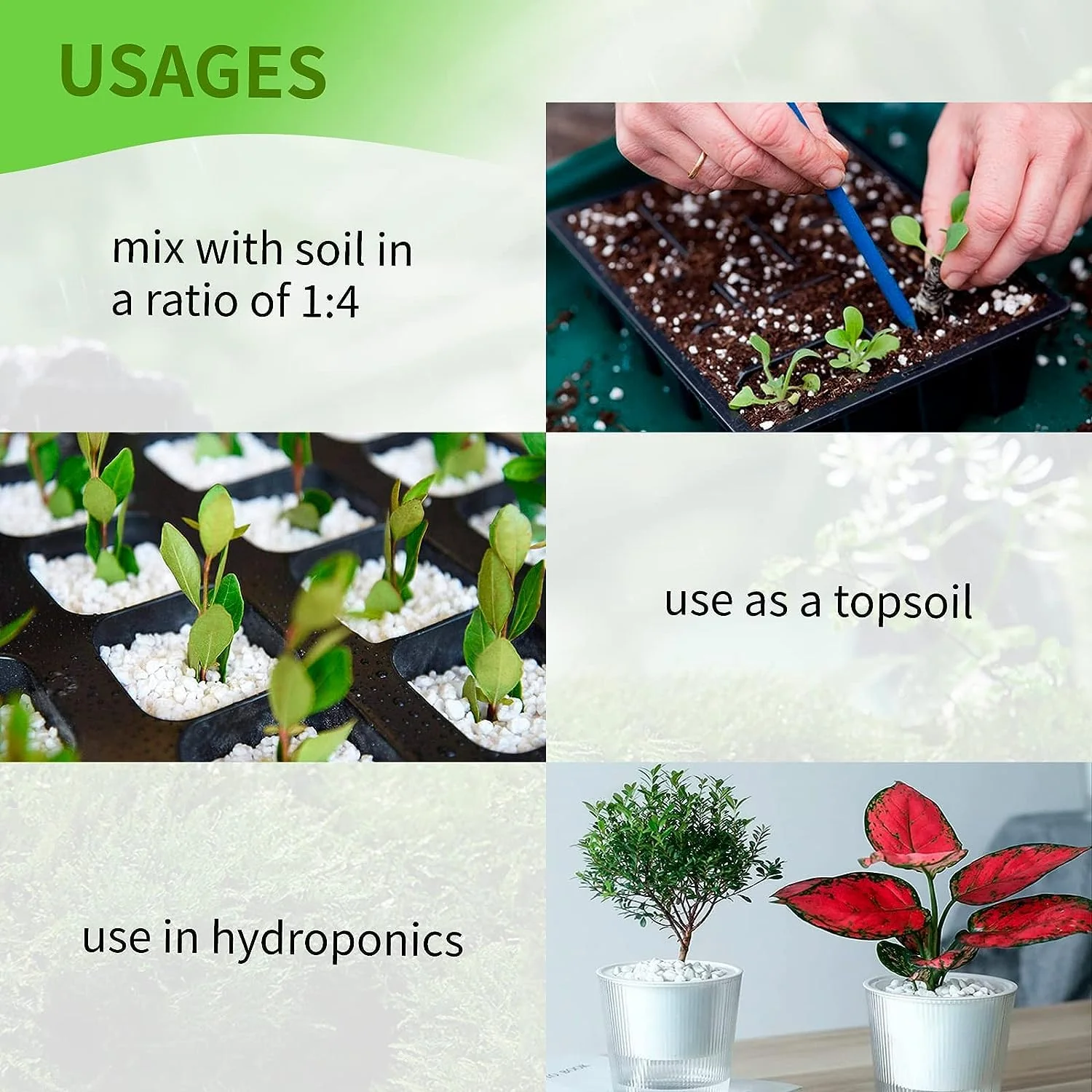 Perlite for Plants (Gulf imported) - Image 4
