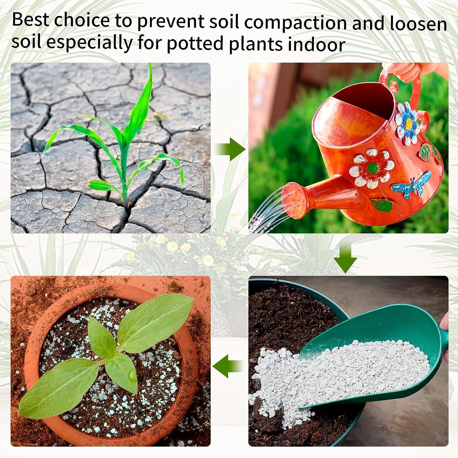 Perlite for Plants (Gulf imported) - Image 5