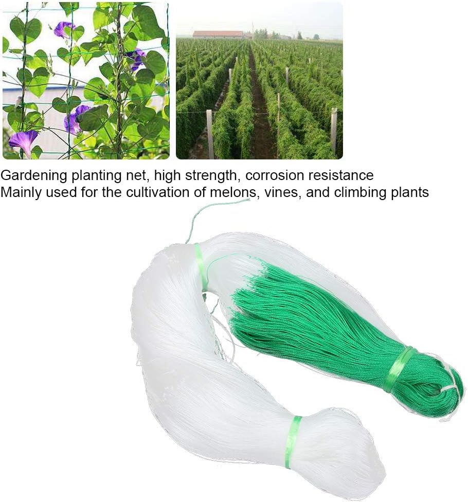 Plant Support net – 8ft x 220ft - Image 4