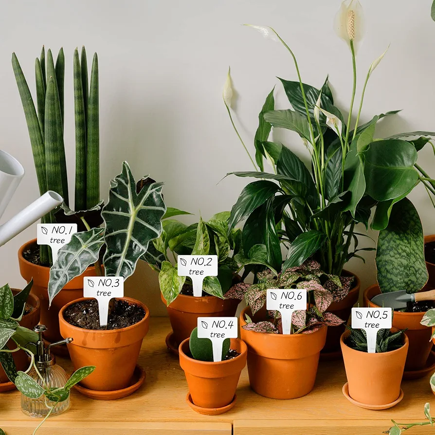 Plant tags - Image 3