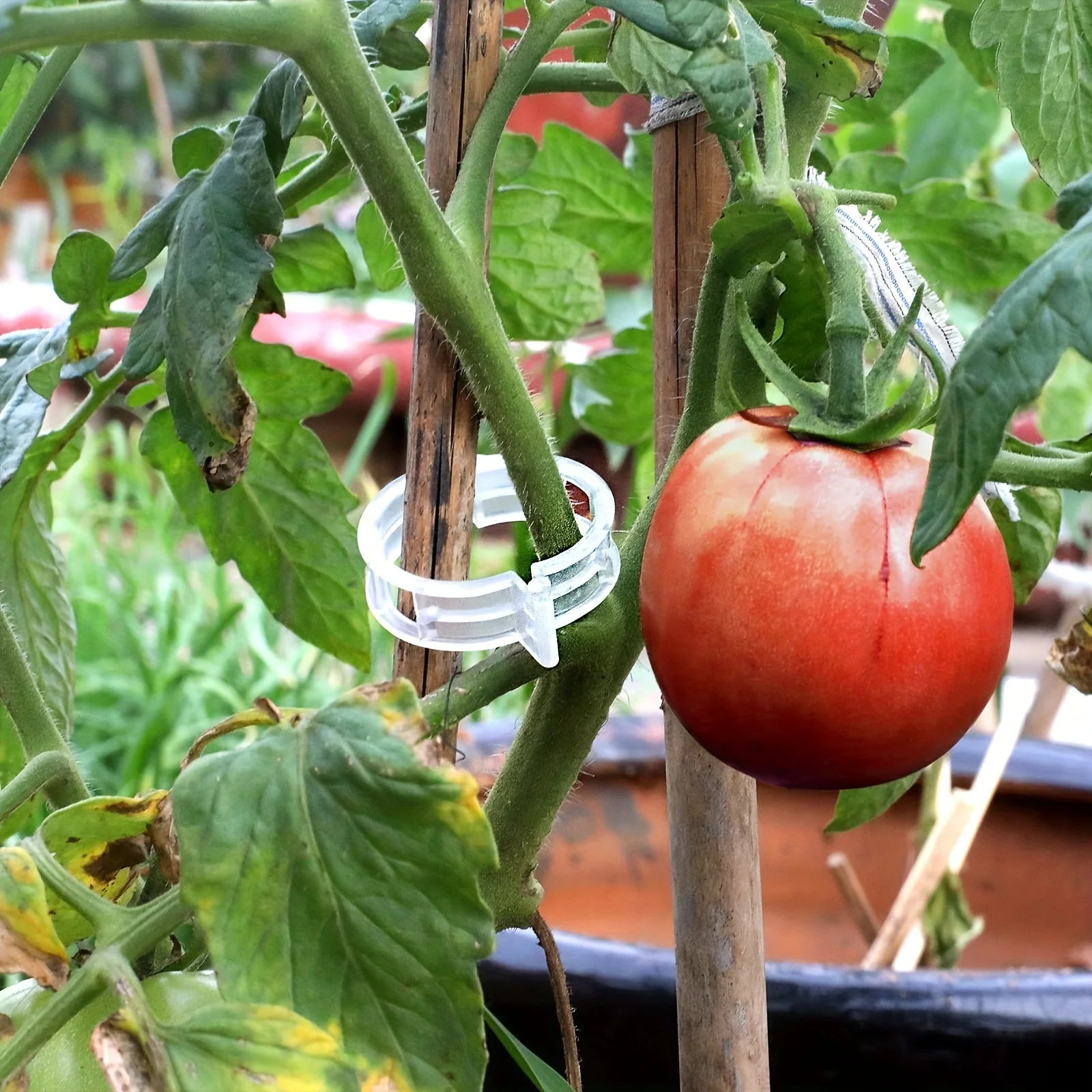 Plastic Plant Clips - Image 2