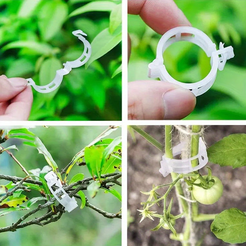Plastic Plant Clips - Image 3