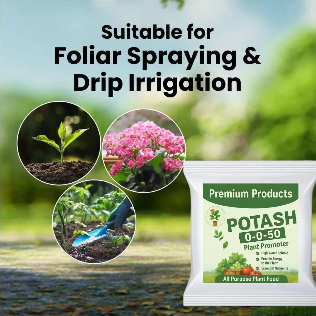 Potash Fertilizer (SOP) - Image 2
