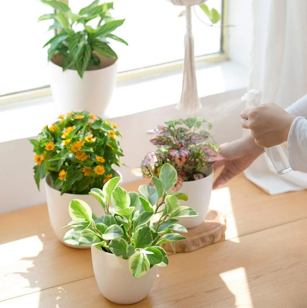White Pots – Small (3 inchx3 inch) - Image 5