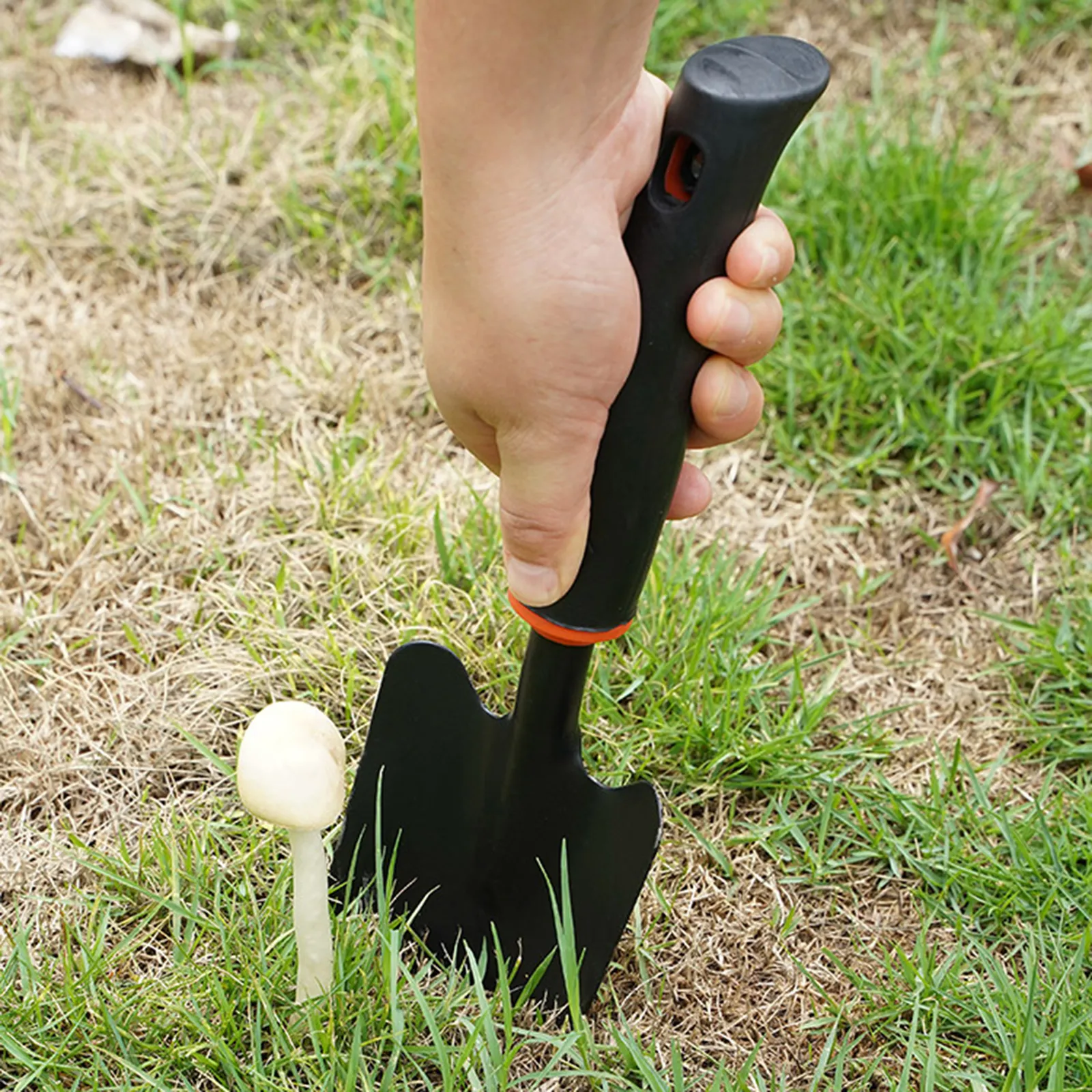 Shovels Set – Pack of 3 (Heavy Duty) - Image 5