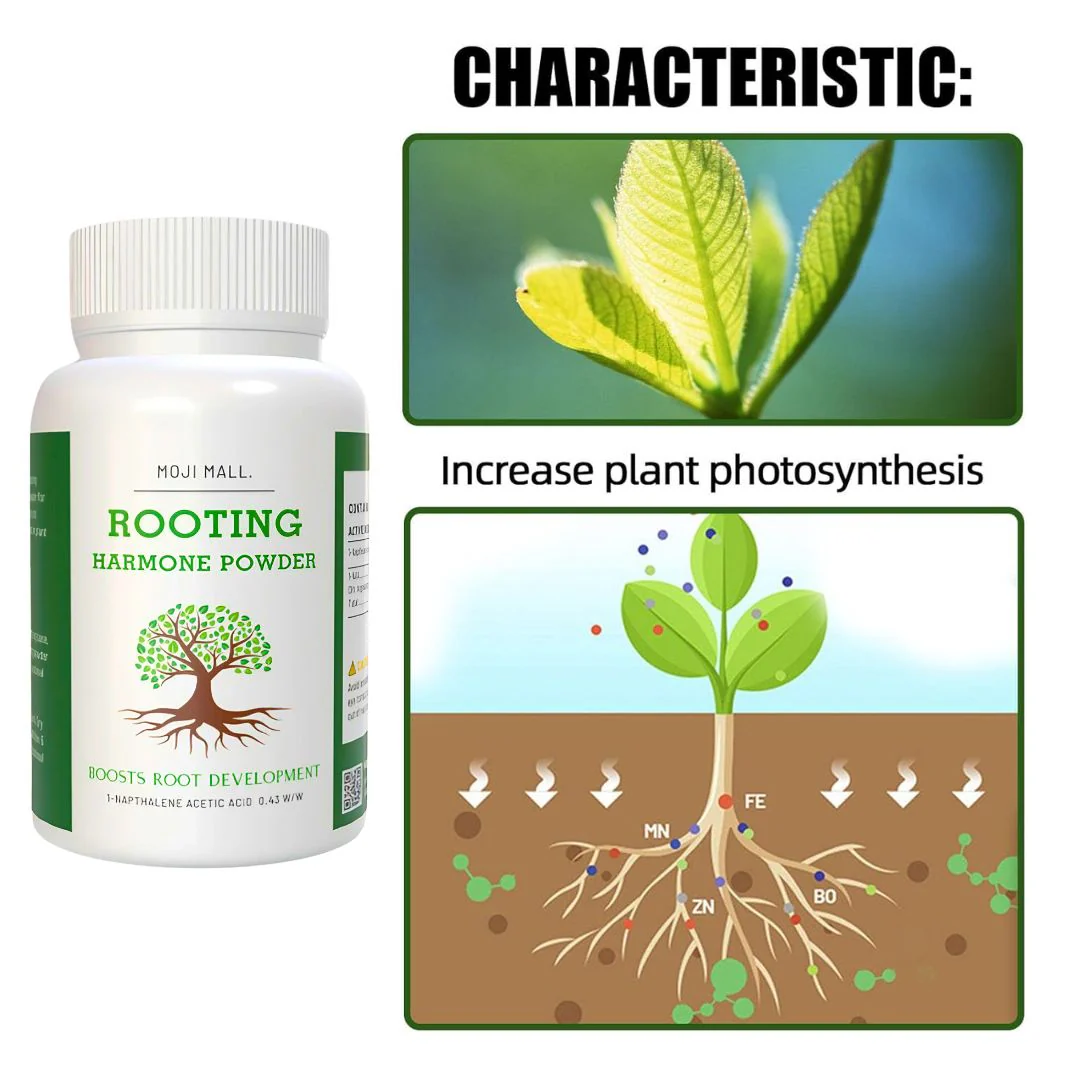 Rooting Powder (imported) - Image 4