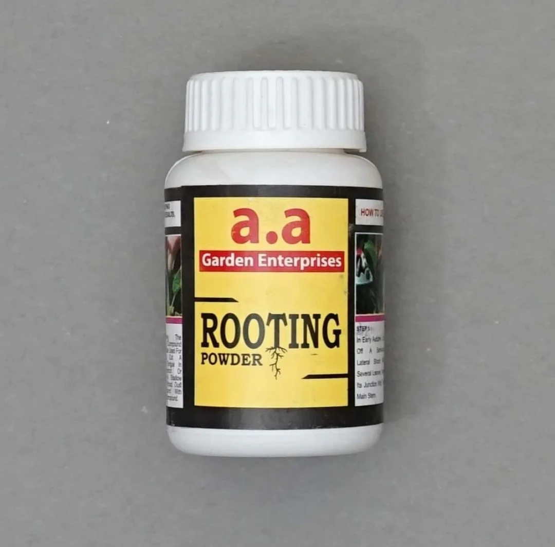Rooting Powder A.A