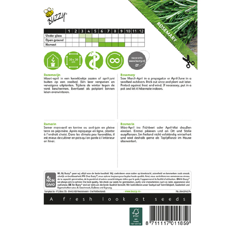 Rosemary – Seeds - Image 2