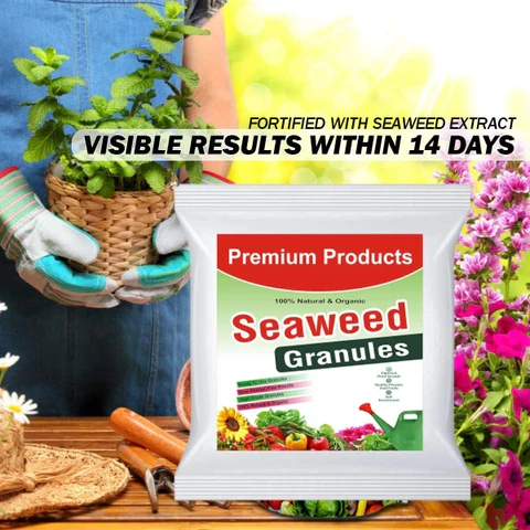 Seaweed Granules (UAE-imported) - Image 3