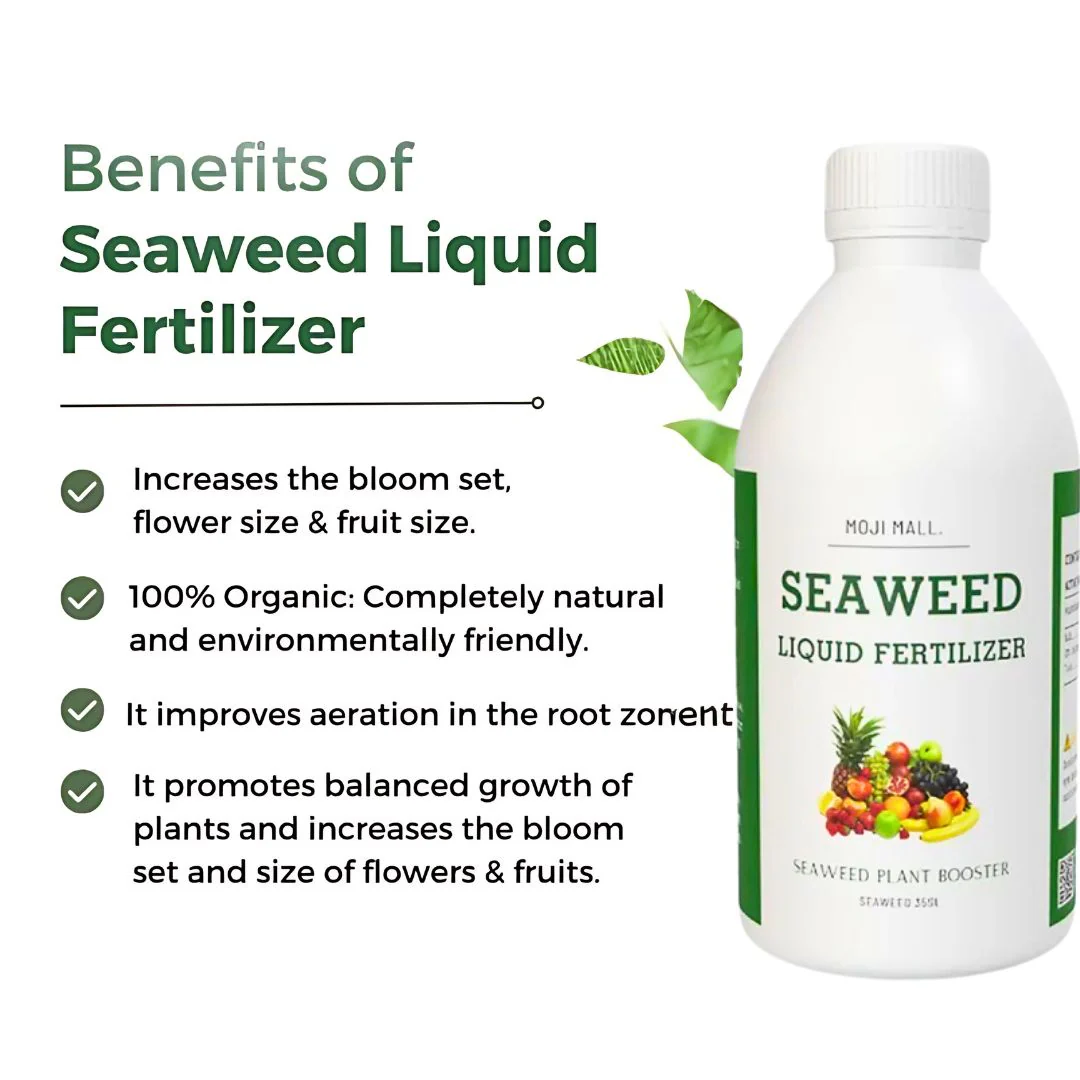 Seaweed – Organic Liquid Fertilizer (imported) - Image 3