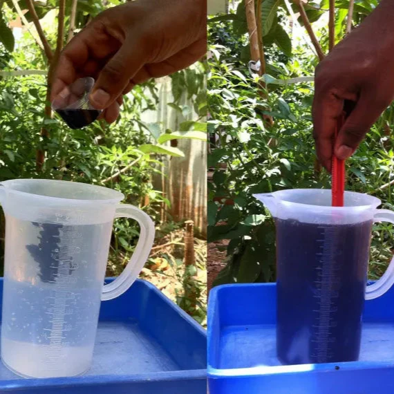 Seaweed – Organic Liquid Fertilizer (imported) - Image 6