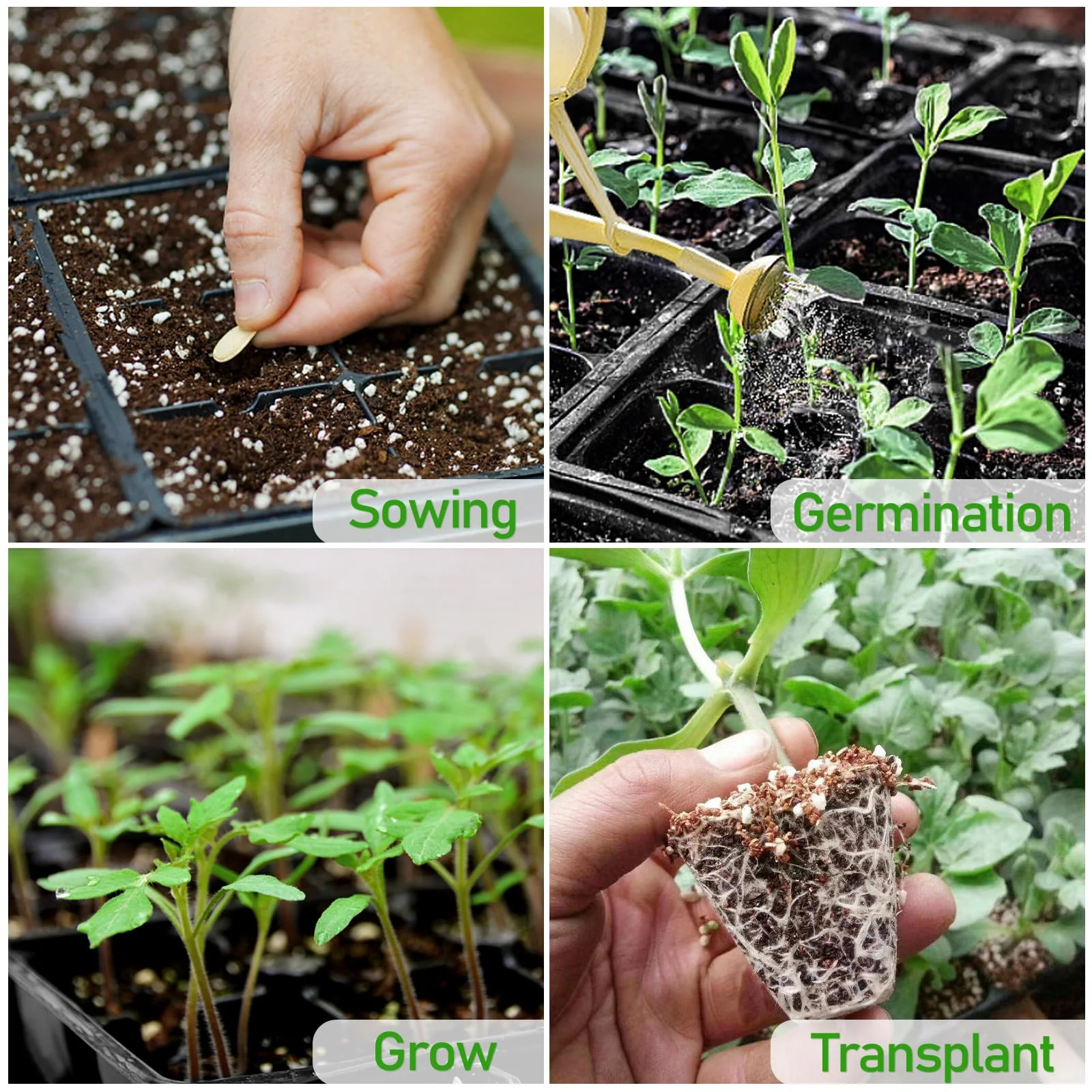 Seed Growing (Soilless Seed Starter) Mix - Image 2