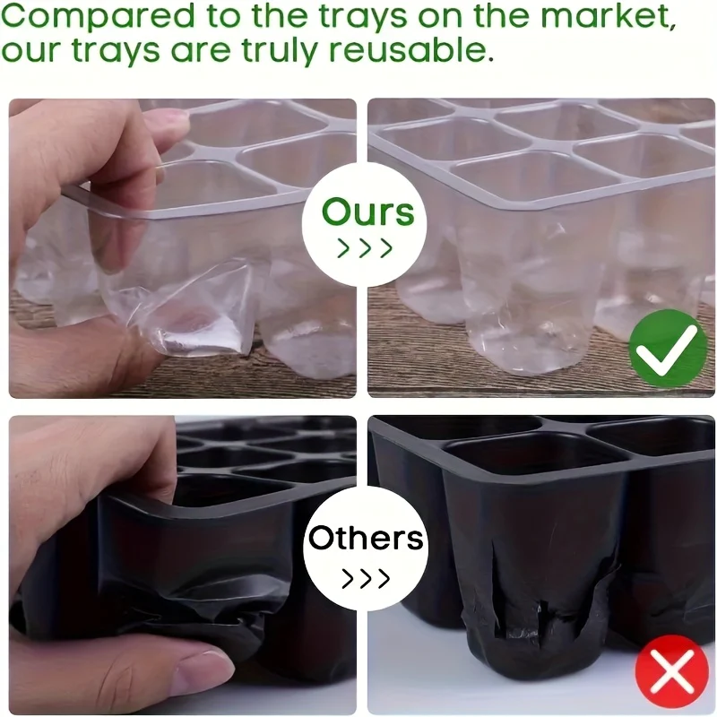 Seedling Box – 12 Holes - Image 5