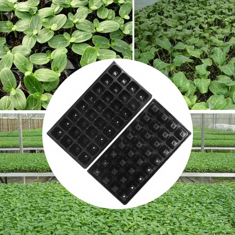 Pack of 5 Seedling Tray – 32 Holes - Image 3