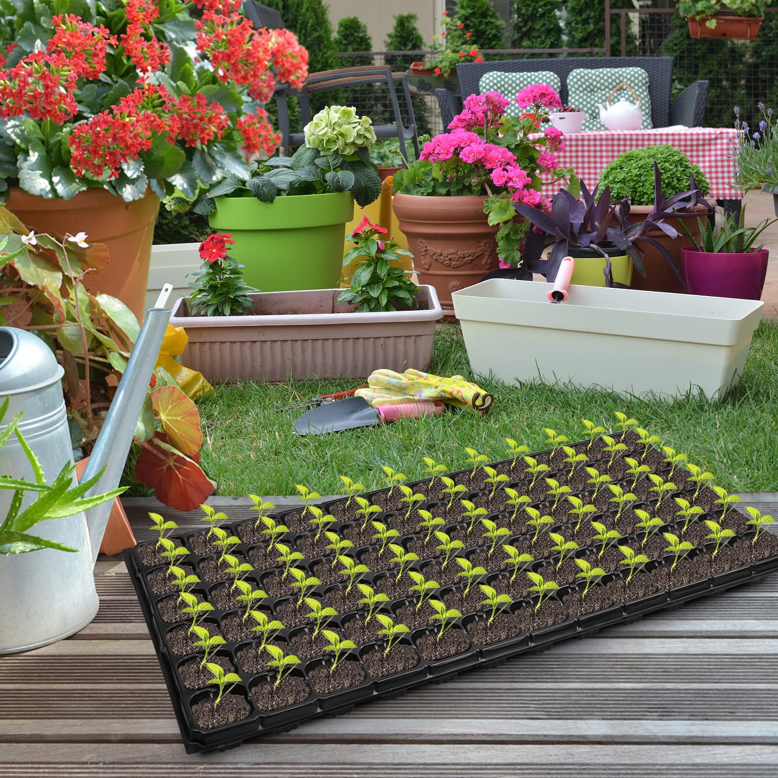 Seedling Tray – 72 Holes 3.5 inch deep (imported) - Image 3