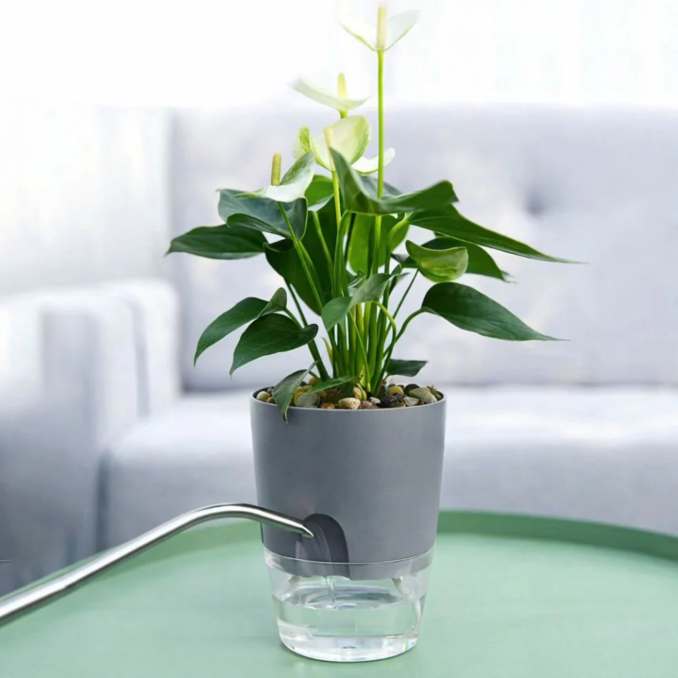 Self Watering Pots – Gray - Image 2