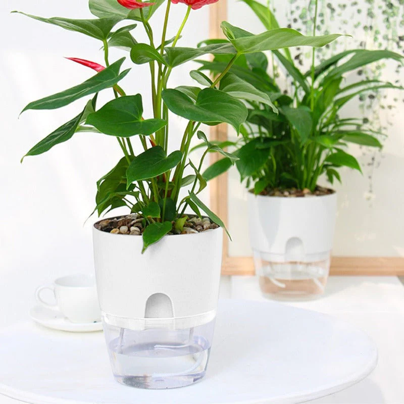 Self Watering Pots – White