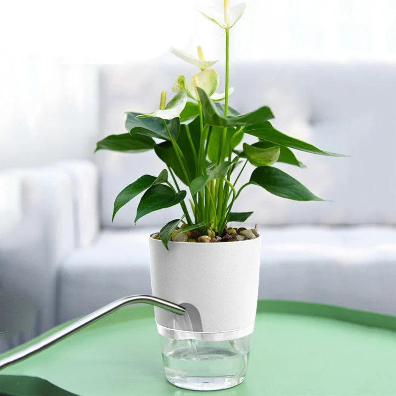 Self Watering Pots – White - Image 2