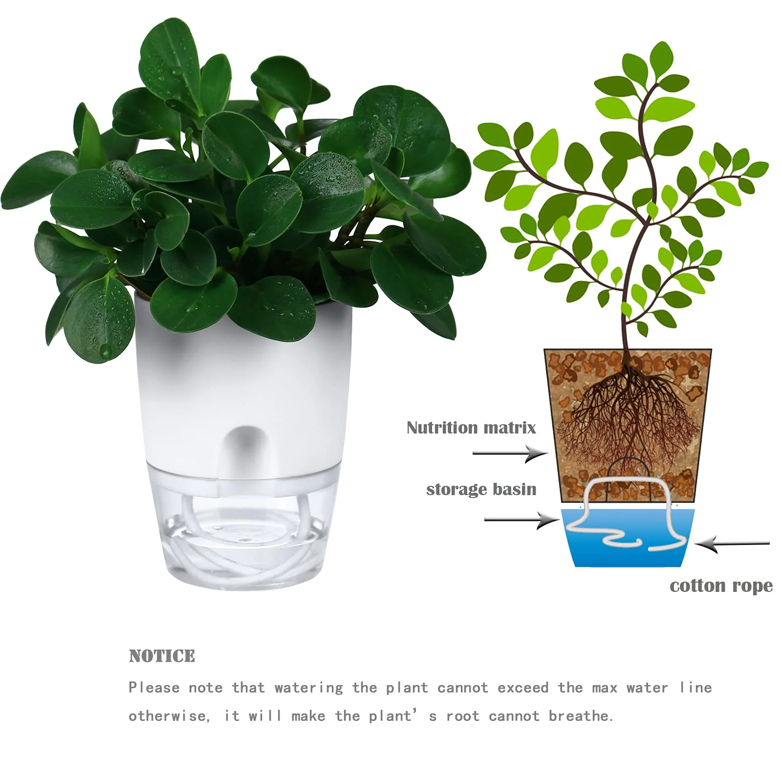 Self Watering Pots – White - Image 3