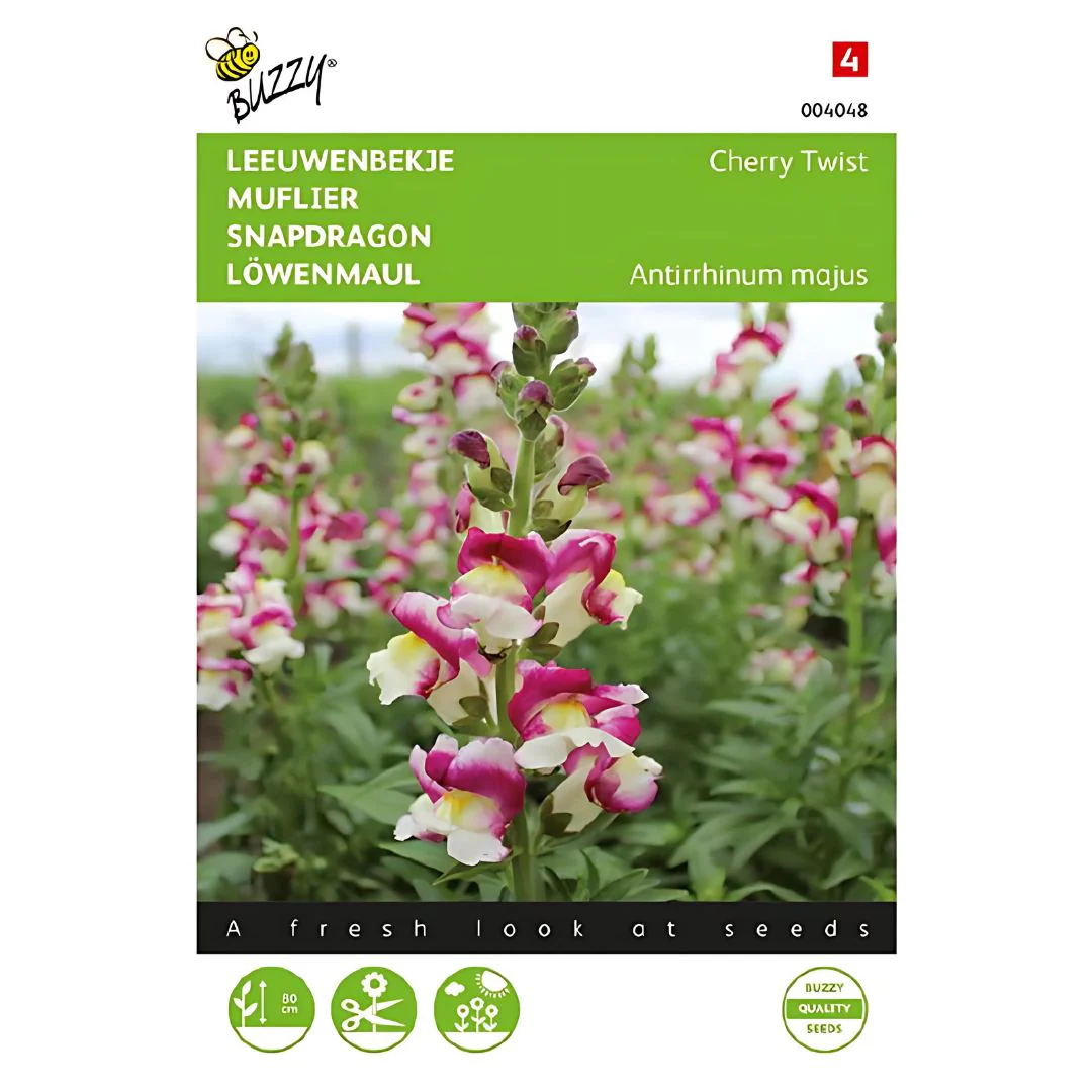 Antirrhinum (Snapdragon) Majus – Seeds