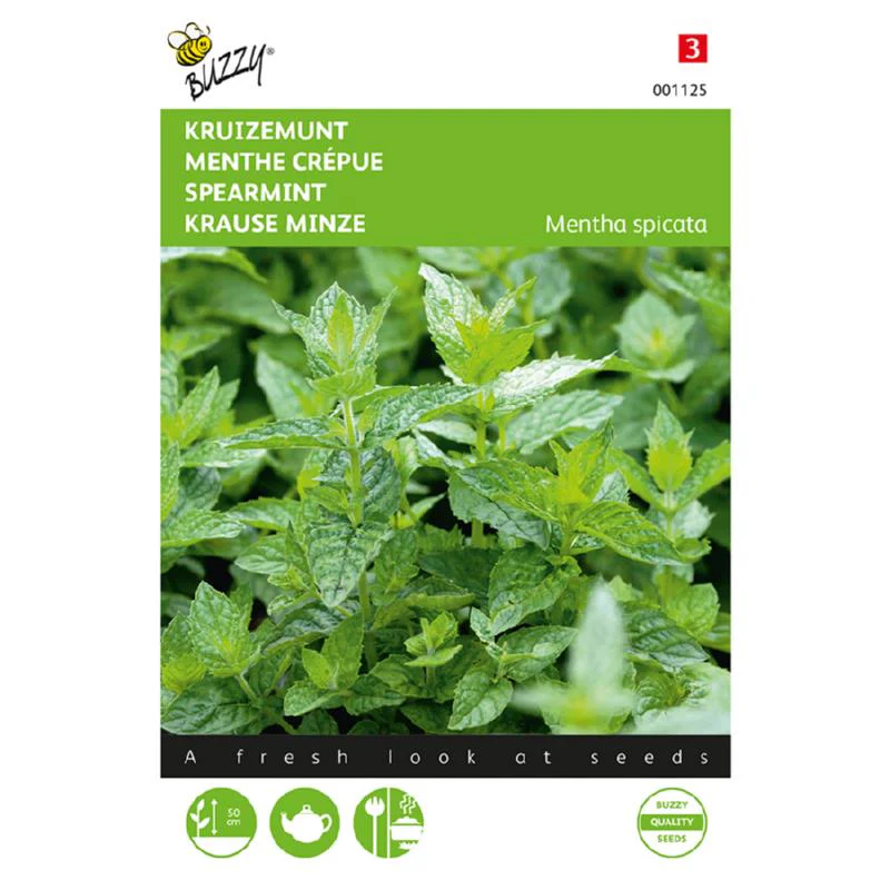 Spearmint Buzzy – Seeds (Imported - Limited Stock)