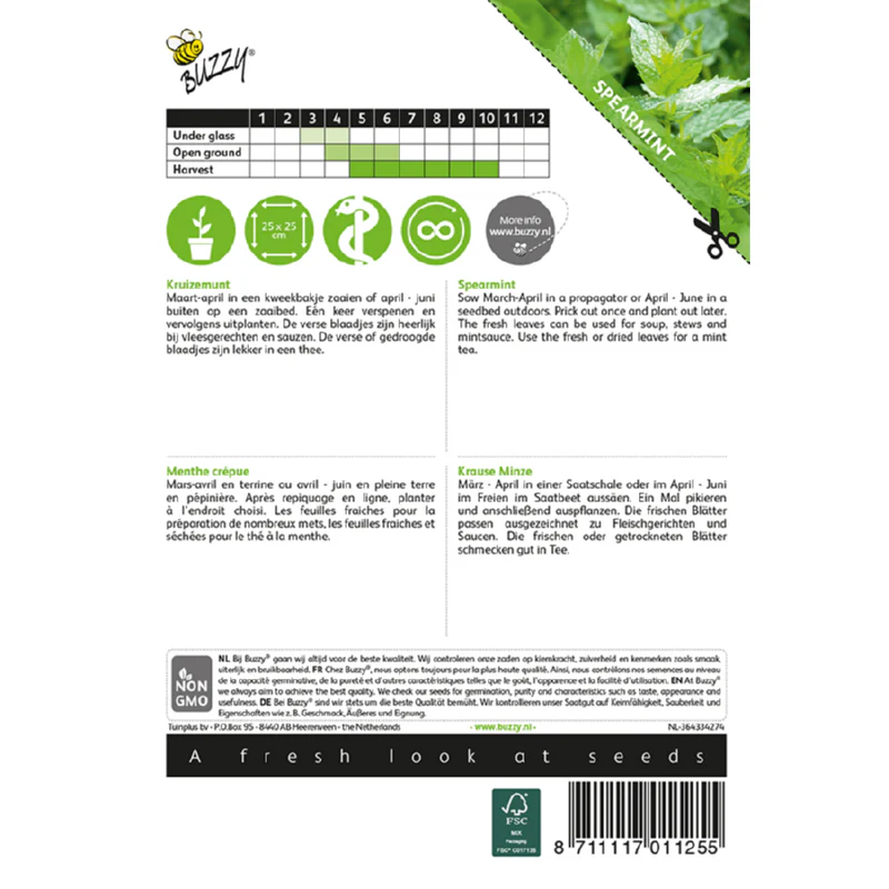Spearmint Buzzy – Seeds (Imported - Limited Stock) - Image 2