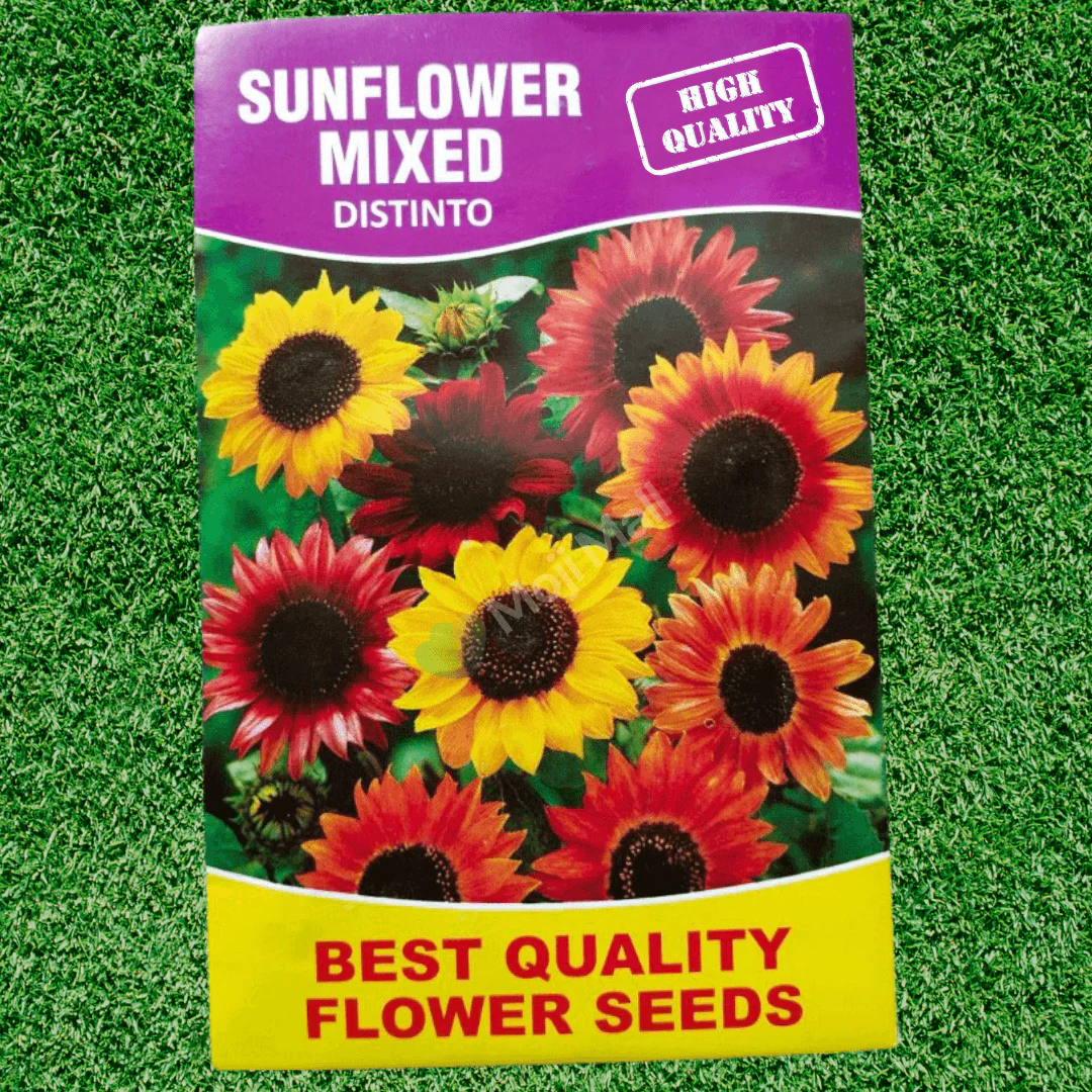 Sunflower (Mix) – Seeds - Image 2