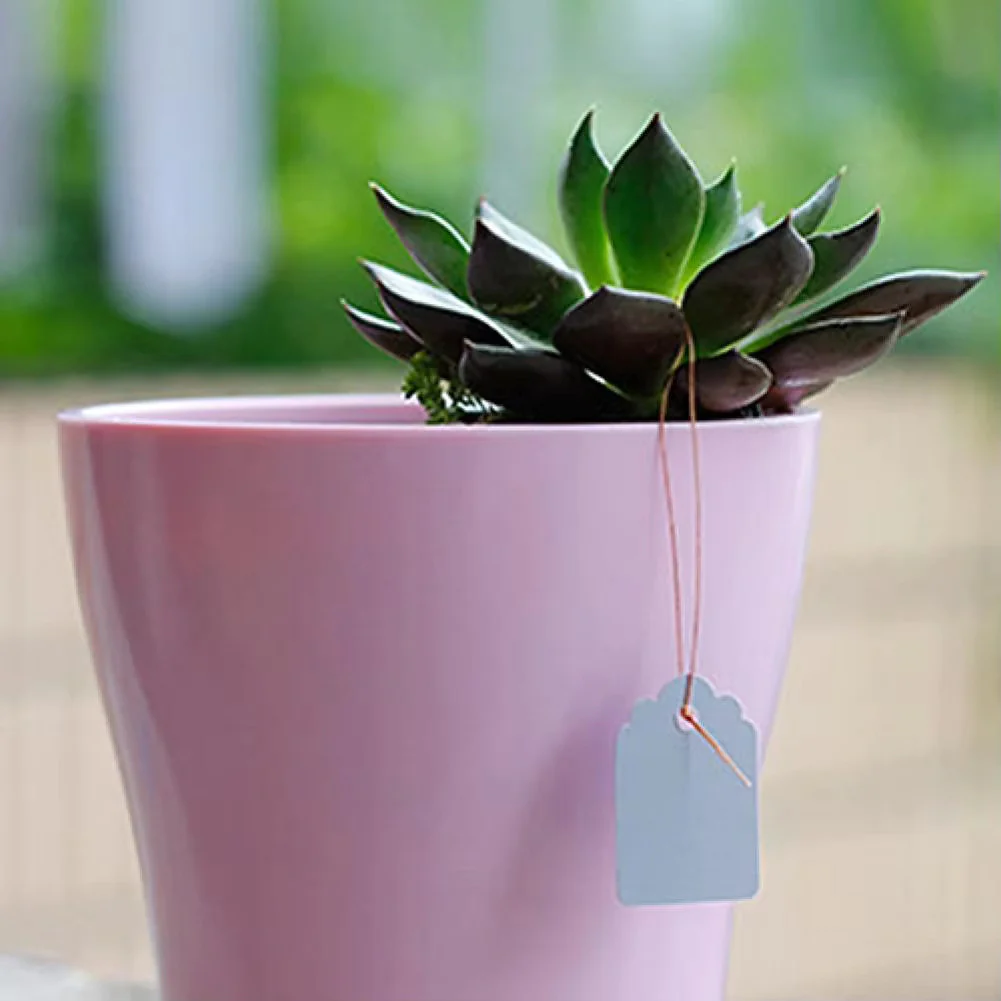 Plant Tags - Image 4