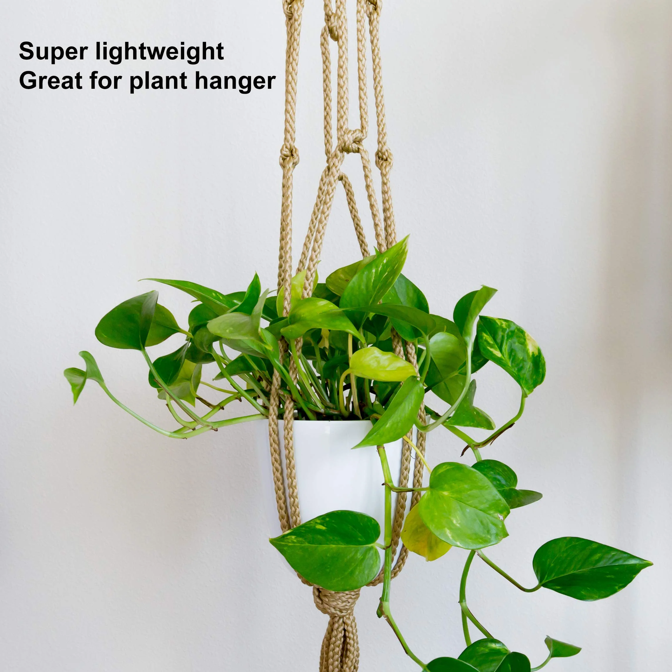 White Pots – Small (3 inchx3 inch) - Image 6